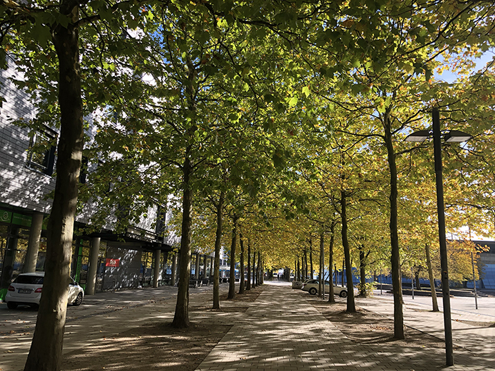 Herbst-Feeling auf der Plaza